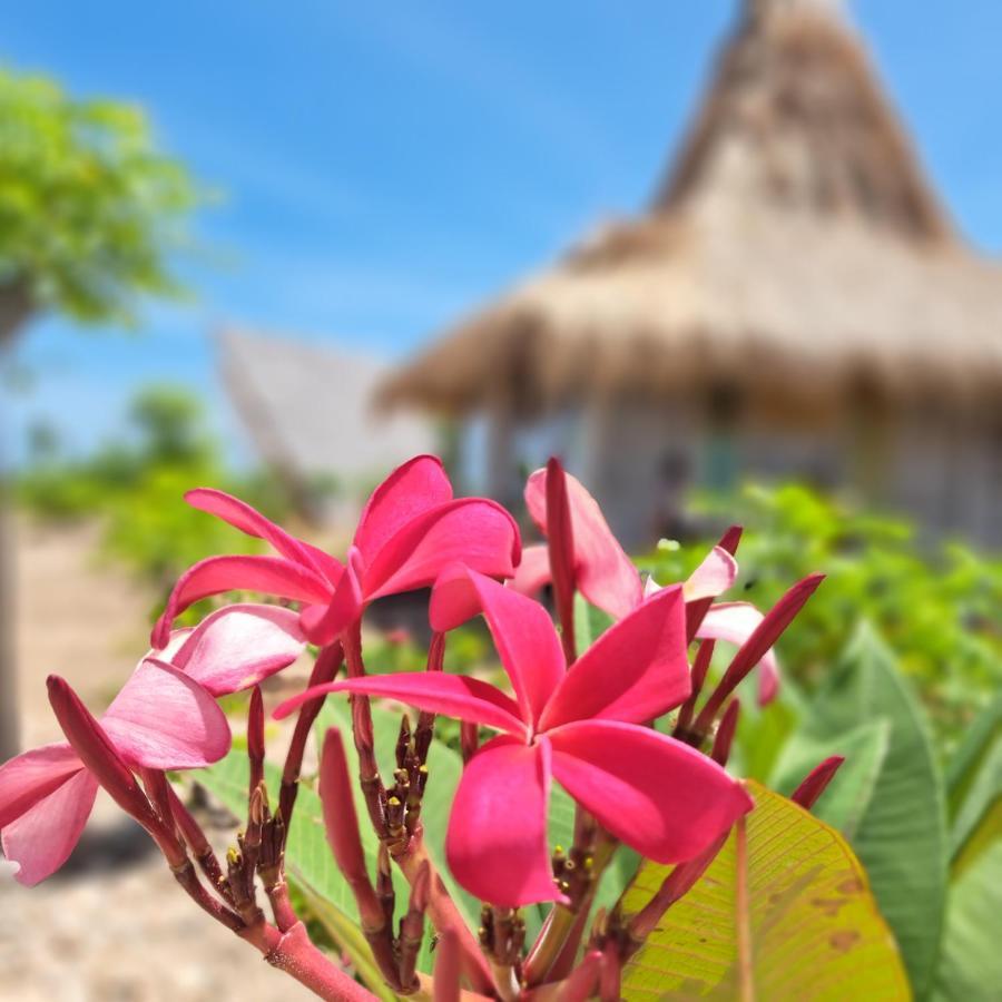 فندق Hars Garden Sumba وينغابو المظهر الخارجي الصورة